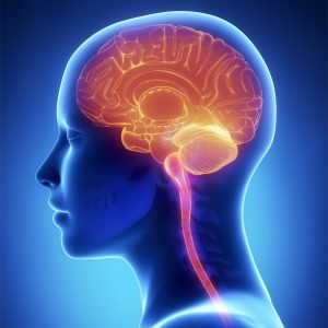 VIP 4 week Personalised Brain Healing Experience