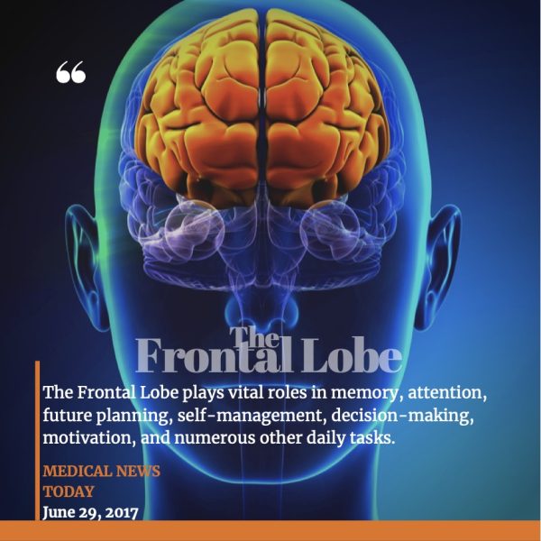 Harmonize Your Mind: 3-Day Restorative Brain Healing Journey - Special Offer! - Image 3