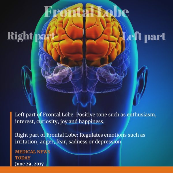 Learn the Secrets of Brain Healing - Achieve Mental Clarity & Deep Inner Balance within 3 Days - Image 5