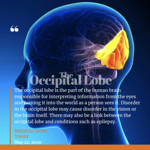 Learn the Secrets of Brain Healing - Achieve Mental Clarity & Deep Inner Balance within 3 Days - Image 7