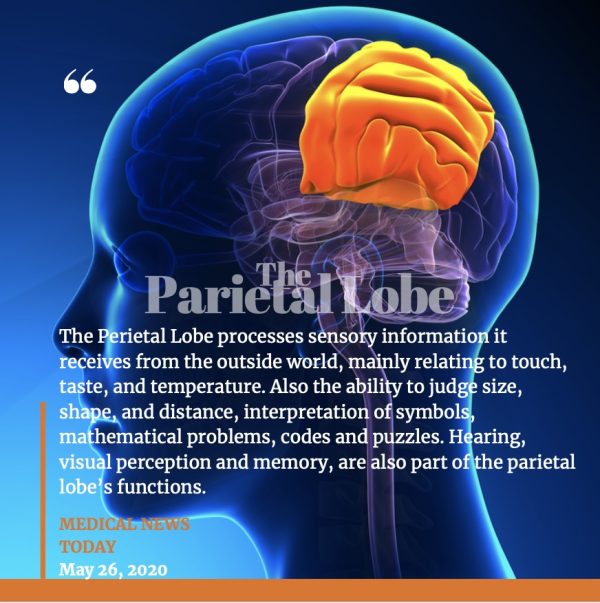 Learn the Secrets of Brain Healing - Achieve Mental Clarity & Deep Inner Balance within 3 Days - Image 6