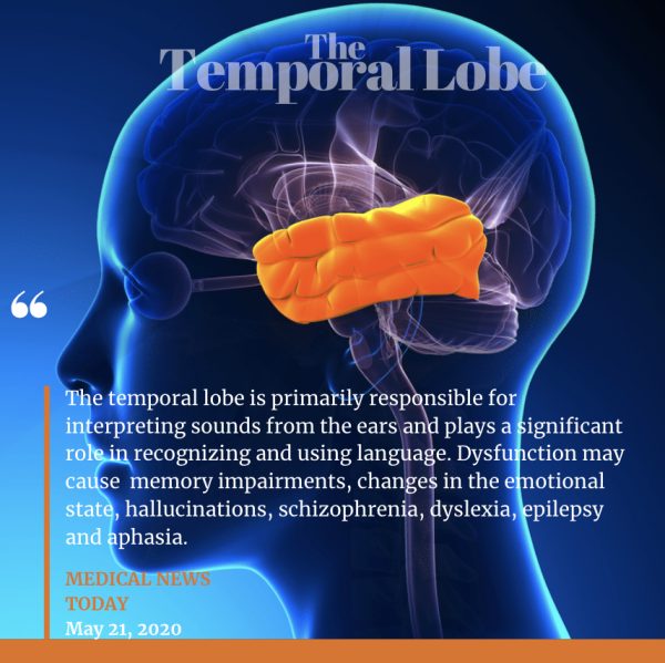 Learn the Secrets of Brain Healing - Achieve Mental Clarity & Deep Inner Balance within 3 Days - Image 8