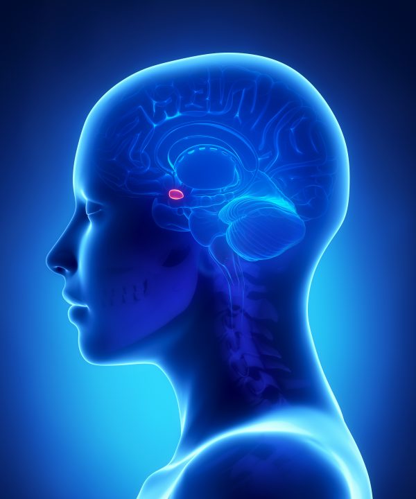 Learn the Secrets of Brain Healing - Achieve Mental Clarity & Deep Inner Balance within 3 Days - Image 9