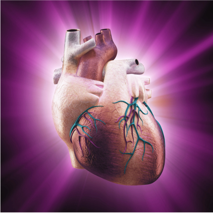 Heart_Lila filter