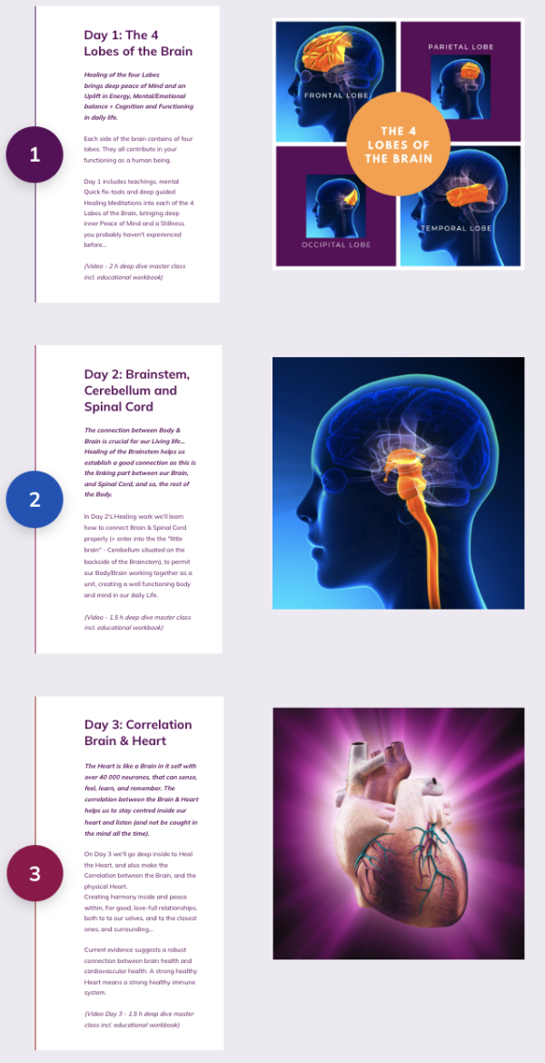 Learn the Secrets of Brain Healing - Achieve Mental Clarity & Deep Inner Balance within 3 Days - Image 10