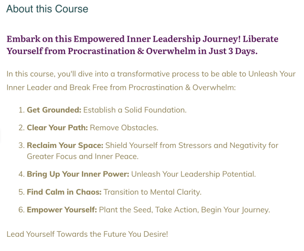 Unleash Your Inner Leader: Break Free from Procrastination & Overwhelm in 3 Days Deep Dive - Image 3